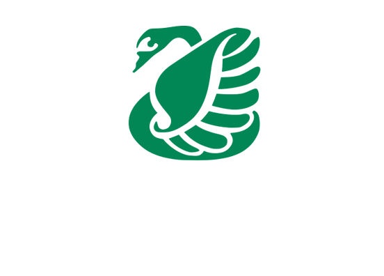 Logo Partner