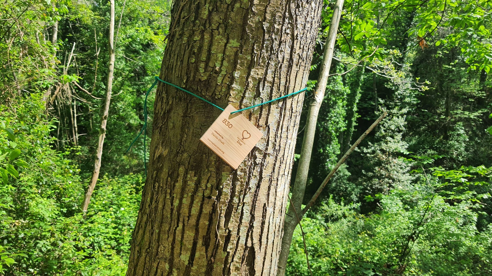 la nuova sezione con le notizie dal progetto